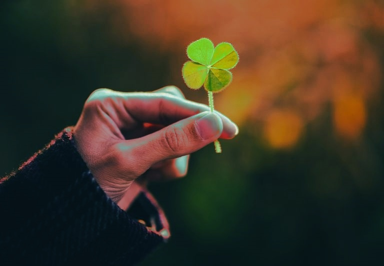 Ирландский символ удачи - четырехлистный клевер.