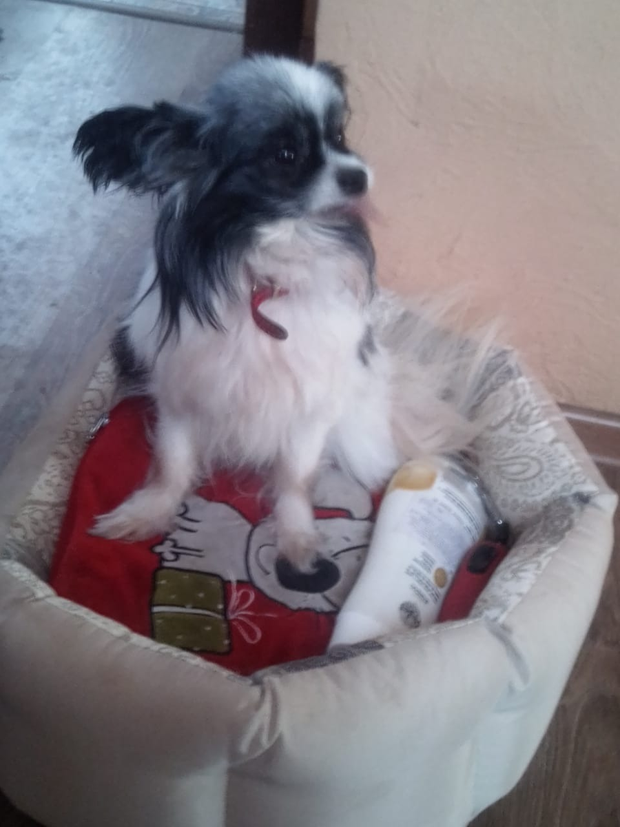 Мотя с пожитками