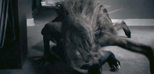 -23