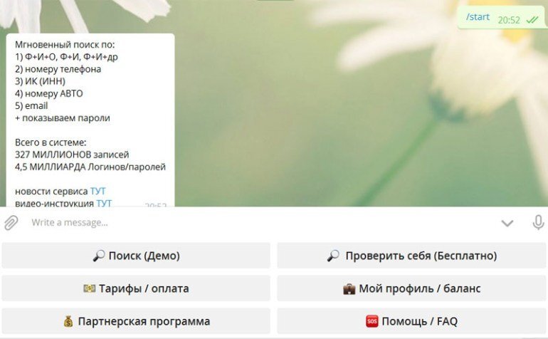 Telegram Bot