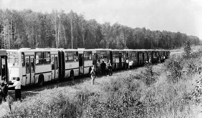 Пожалуйста, листайте фотогалерею с помощью стрелочки: