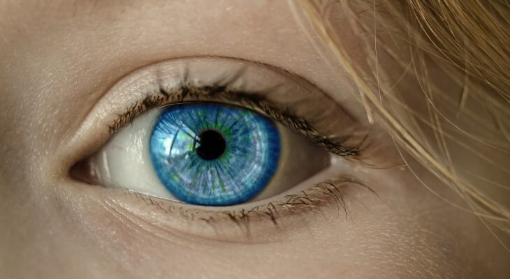 Фотоматериал: i.postimg.cc/ pixabay.com