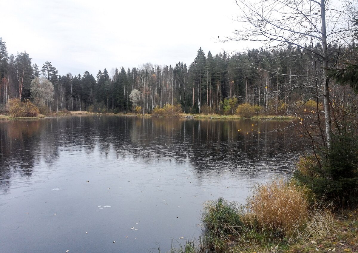 Озеро Светлое