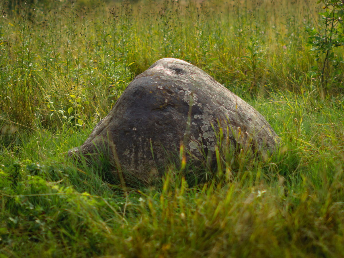 Валуны в степи. Камень Макоши Смоленская область.
