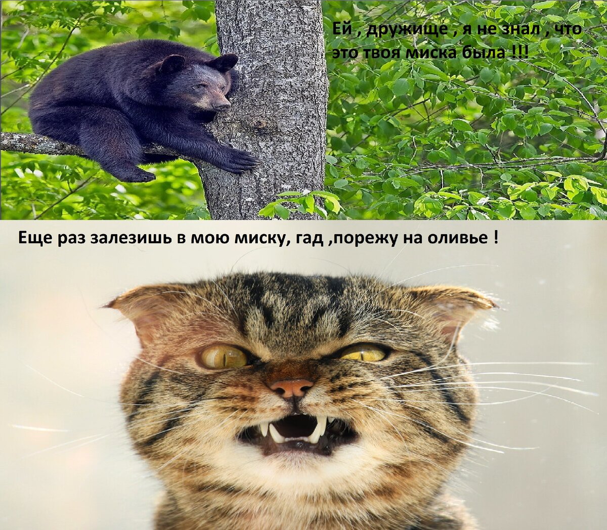 А я - дурачок , боюсь каких-то медведей!