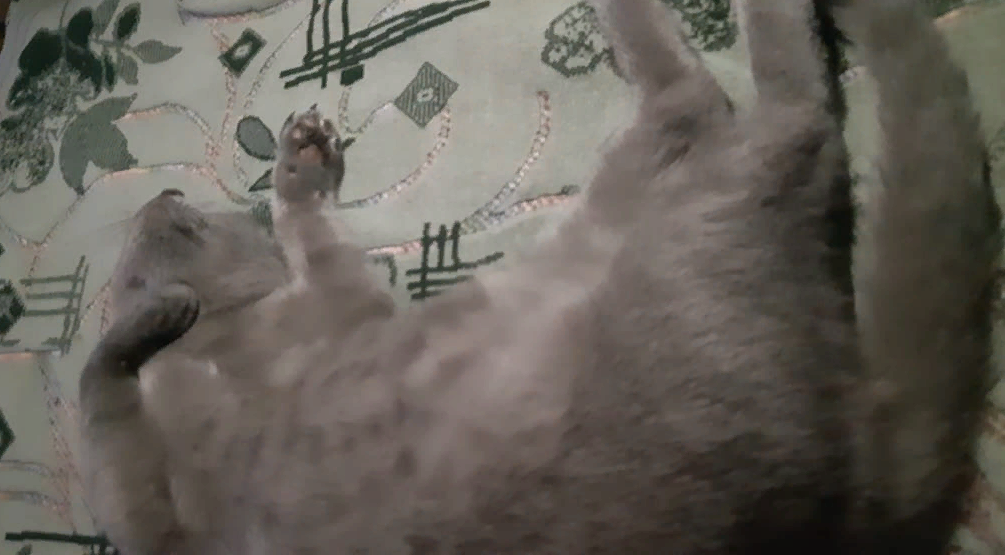 Фото из личного архива