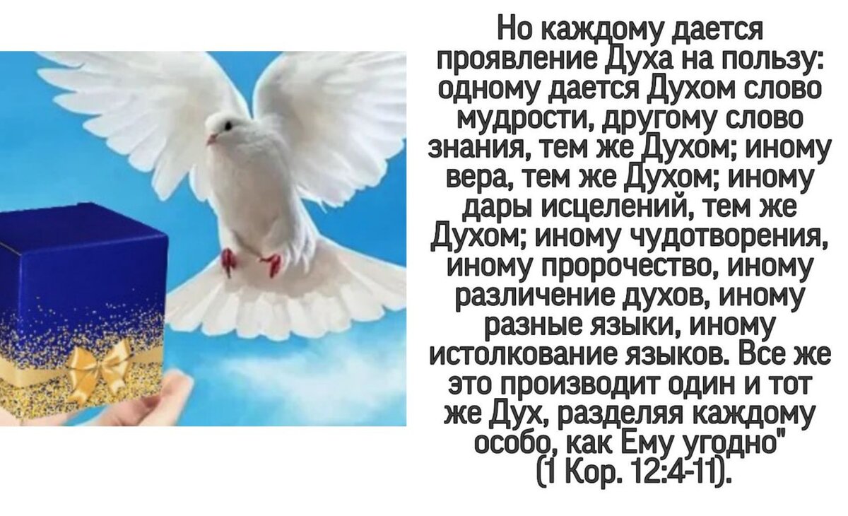  Кто не хотел бы знать волю Бога? Не в общем смысле, для человечества, а для себя лично в конкретных обстоятельствах. Заманчиво… Это реально. Для этого и существуют пророки.-2