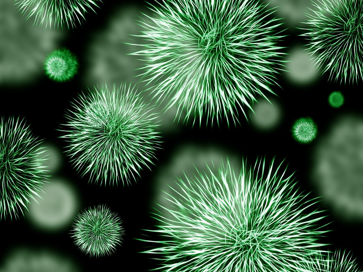 https://cdn.pixabay.com/photo/2014/08/25/09/26/bacteria-426997_960_720.jpg
