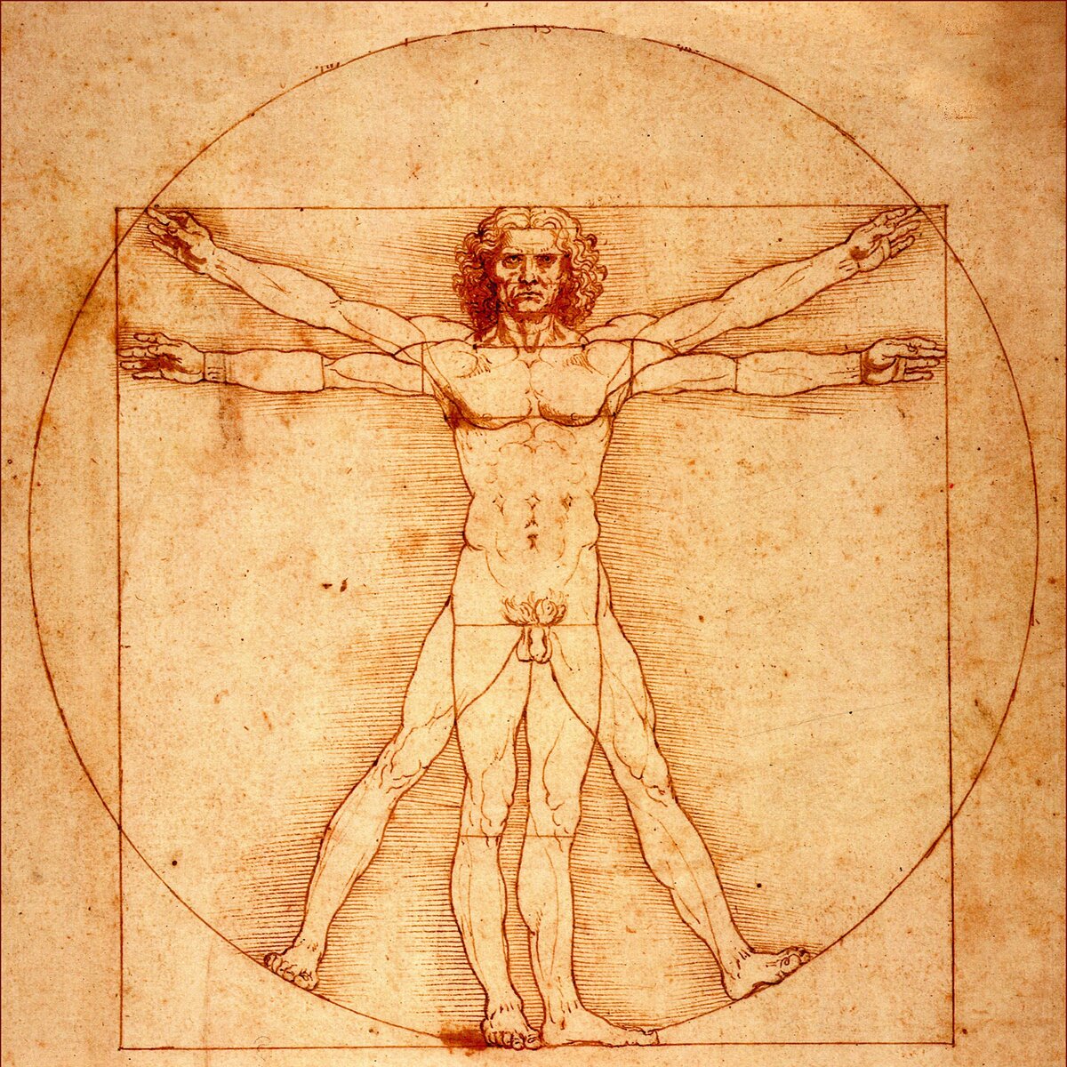 Леонардо да Винчи. "Витрувианский человек"