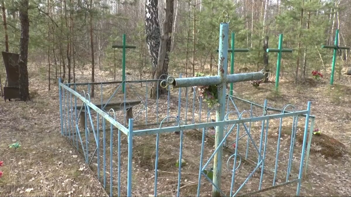 Кладбище в локальной зоне отчуждения. Около бывшего посёлка Борок, Новозыбковского района, Брянской области.