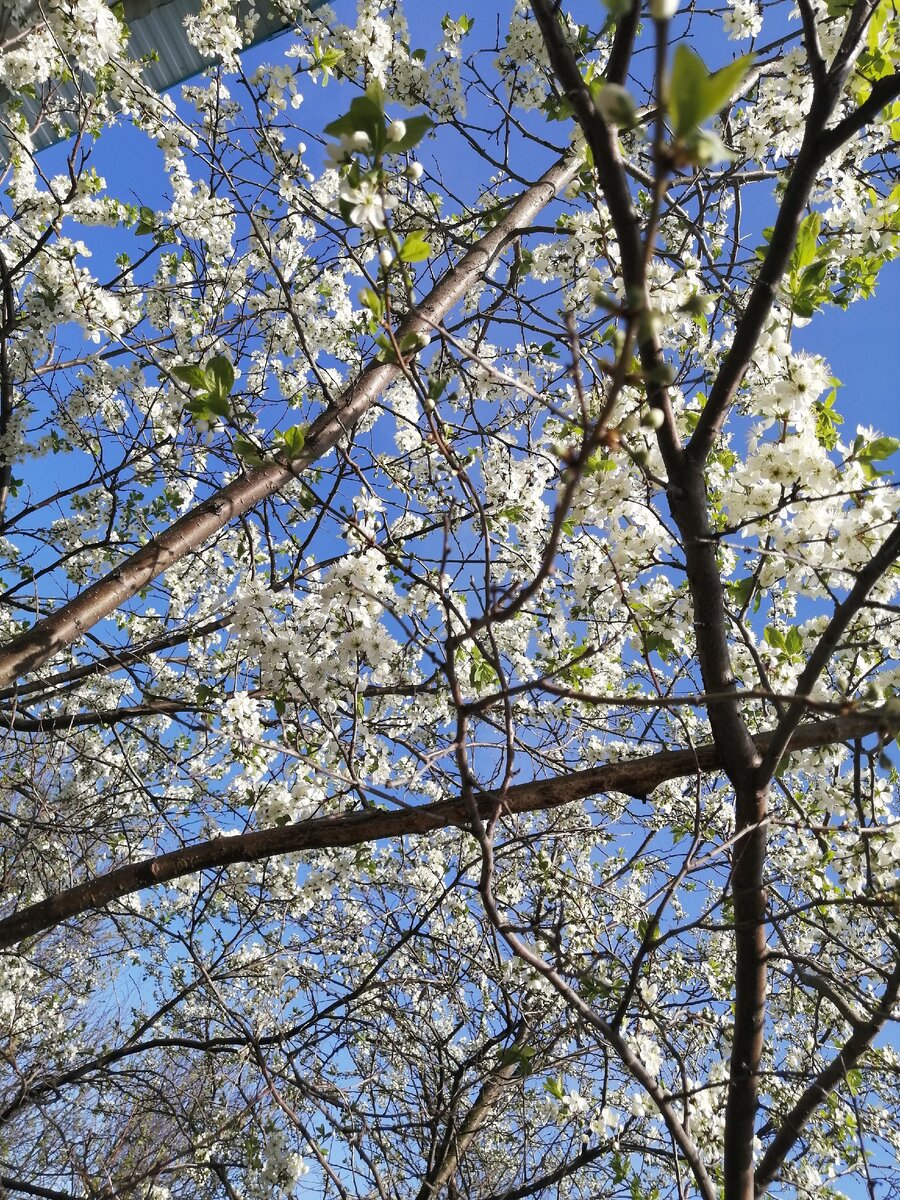 🌸 Красота в мелочах... 