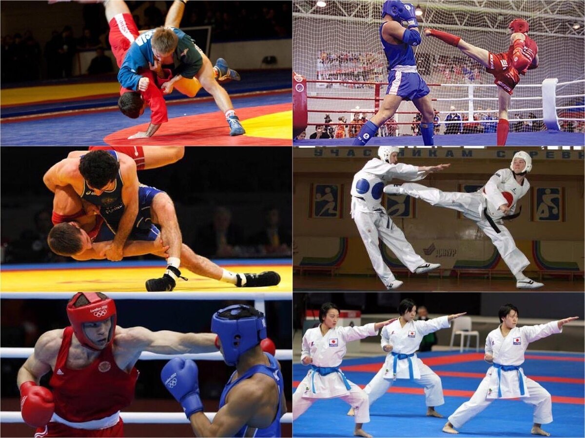 Различные базовые виды единоборств