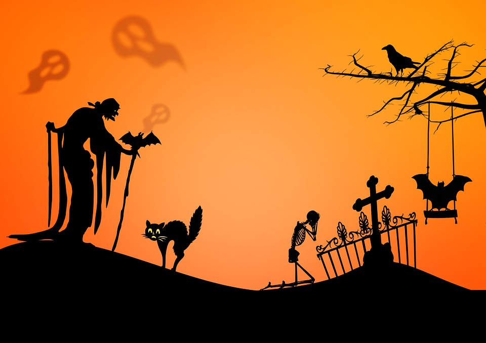 https://pixabay.com/illustrations/halloween-the-witch-ghosts-cat-3734932/