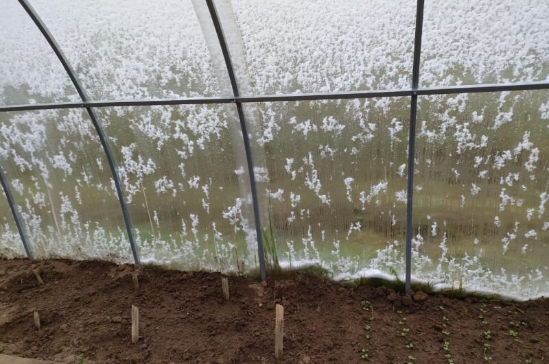 Вот такой выпал снег на 11 мая.