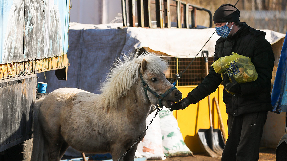 ©Владимир Смирнов / ТАСС