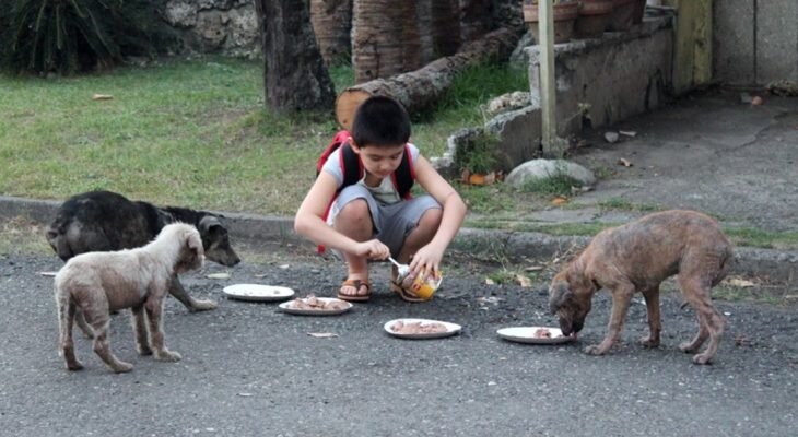 Фотоматериал: Facebook: @Happy Animals Club