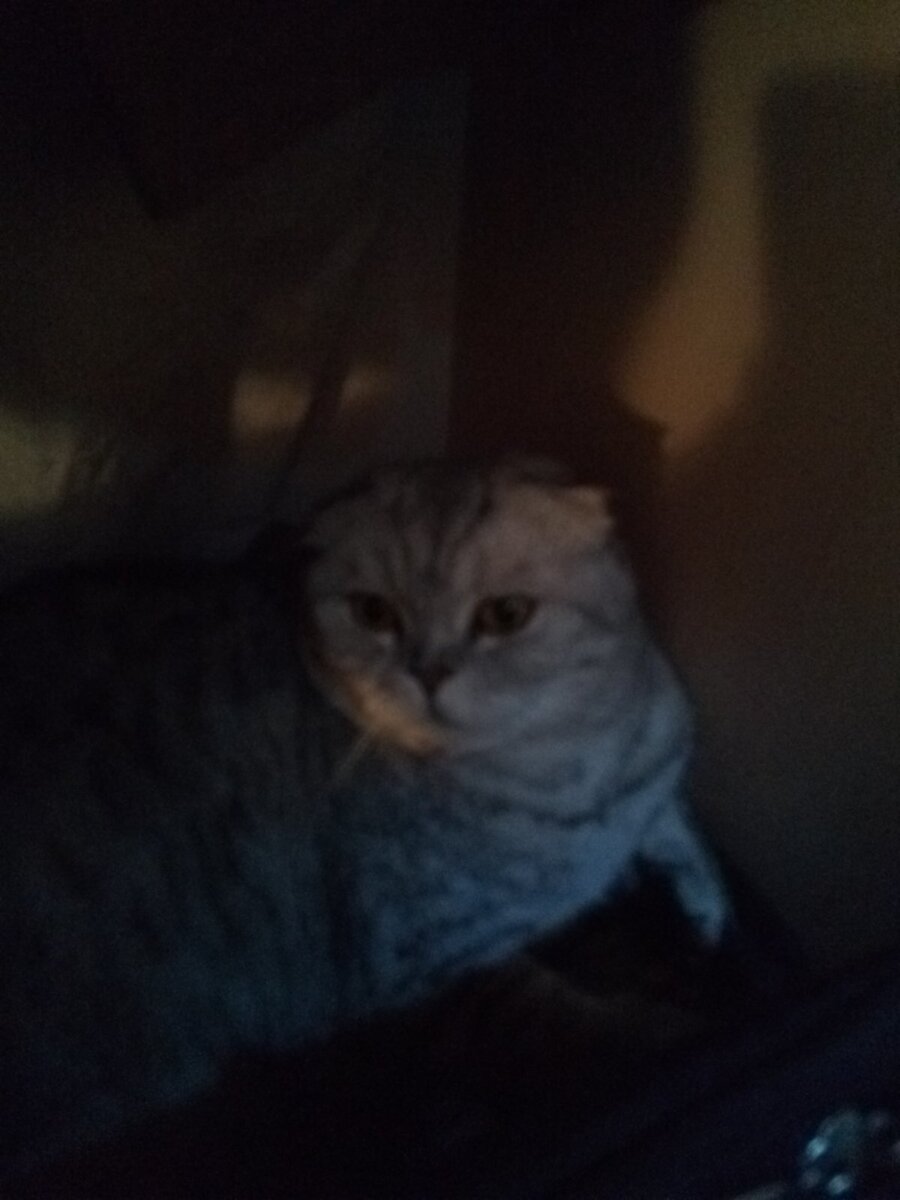 Спим в шкафу