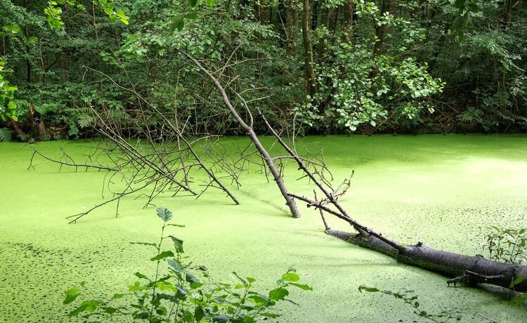 Было это в конце 90-х прошлого века