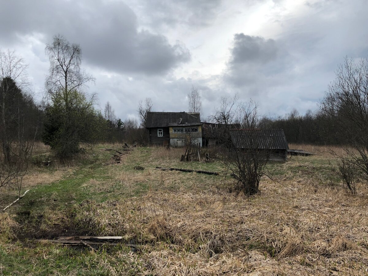 Заброшенная деревня, где никто не живет. Во что превратили дома мародеры за  последний год? | Тверская - вот она какая | Дзен