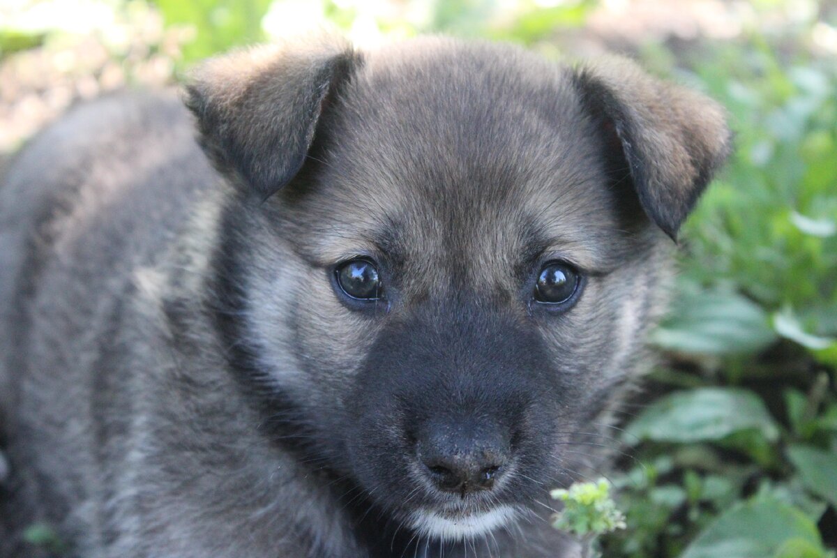 Как такое чудо можно выбросить?