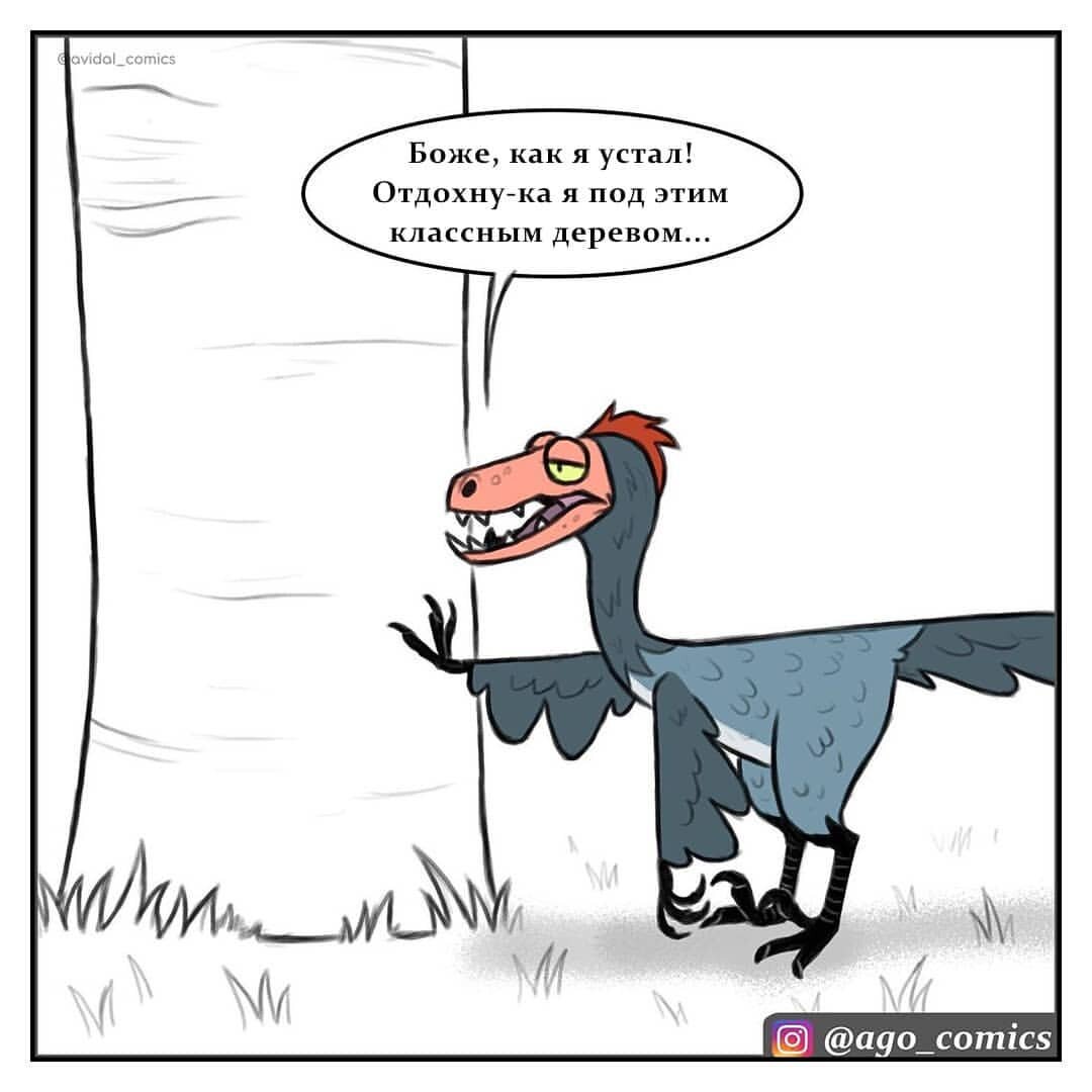 №5.1: Ствол дерева?