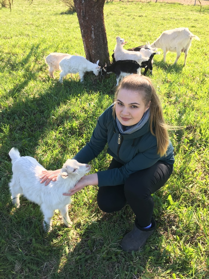 Я в окружении невероятно милых и умных животных.