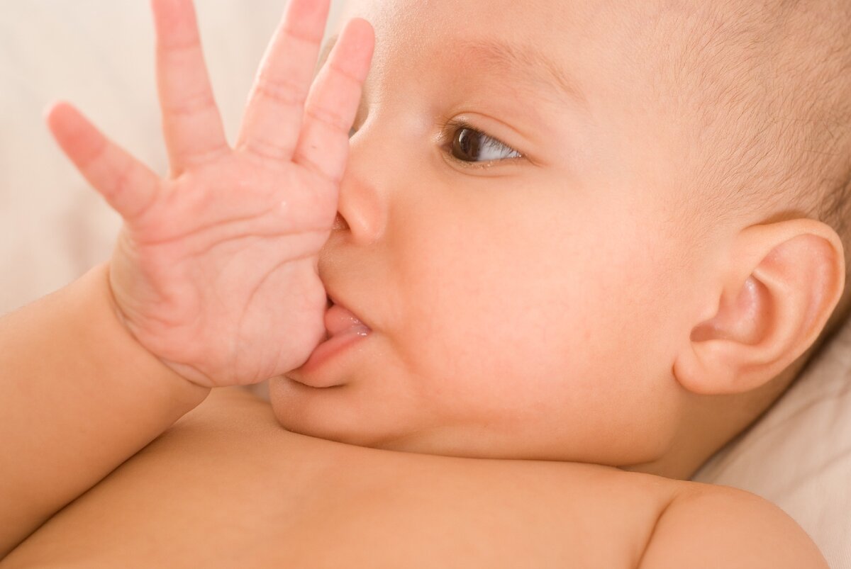 фото куплено по лицензии https://www.shutterstock.com