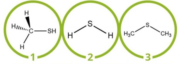 1- Метантиол; 2- Сероводород; 3-Диметисульфид