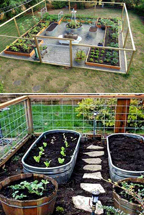
Овощи в металлических и деревянных контейнерах.
Вместо того, чтобы беспорядочно засадить весь дачный участок овощами, создайте на своей территории опрятный, огражденный огород, с отдельными грядками для выращивания разных культур. Для создания такого огорода потребуются доски, сетка и имеющиеся в наличии деревянные и металлические контейнеры. Вкопанные в землю грядки из досок прекрасно подойдут для выращивания огурцов, помидоров, перца и баклажанов, а металлические и деревянные контейнеры можно использовать для выращивания кабачков, тыкв и зелени.
