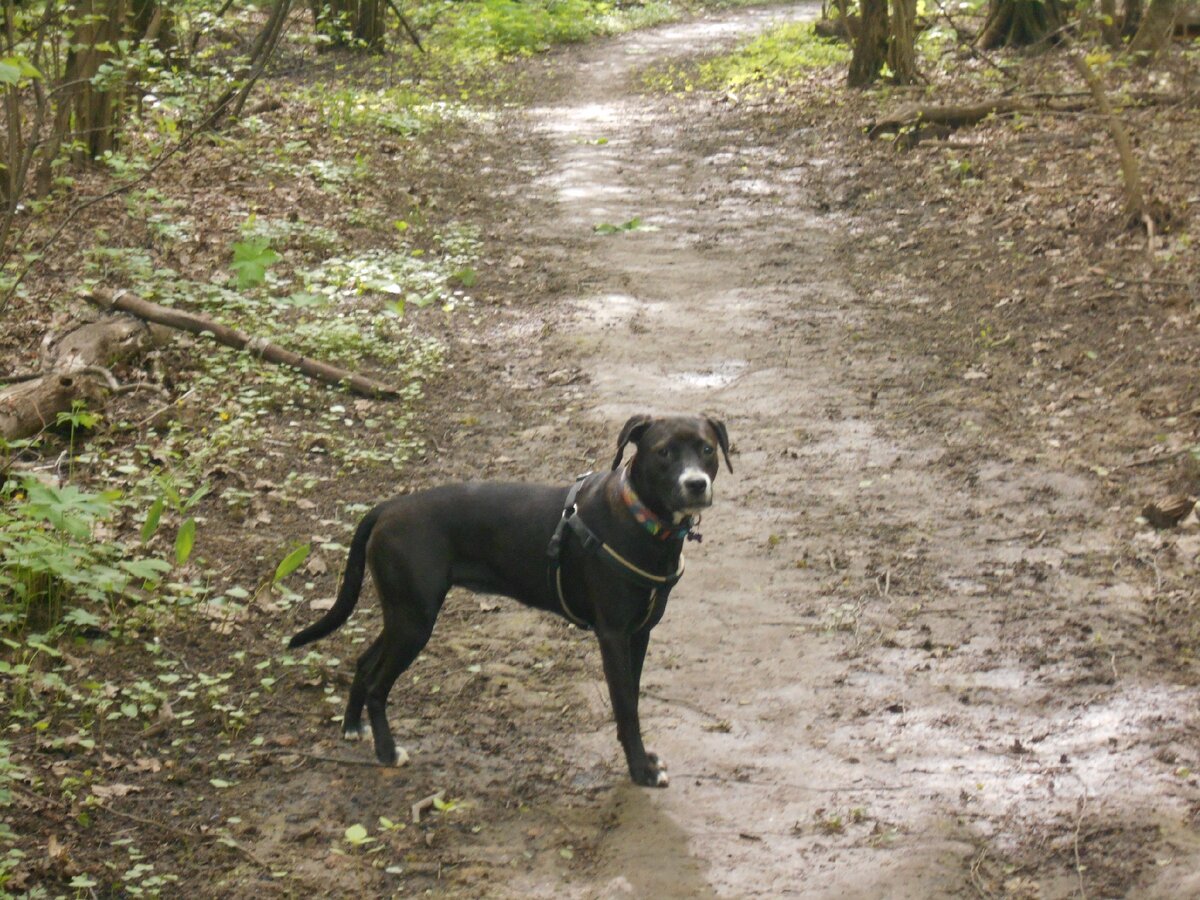 На "центральной аллее"