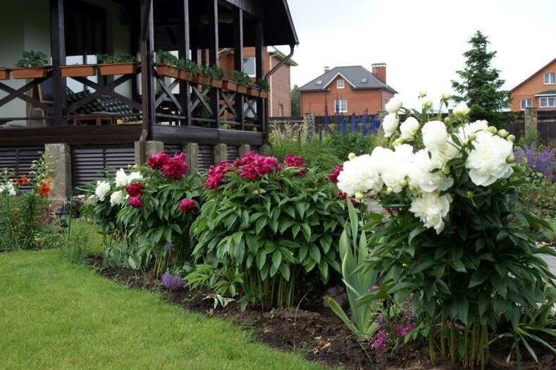 Канал Удачный Дачник. Подписывайтесь, поддержите автора лайком!