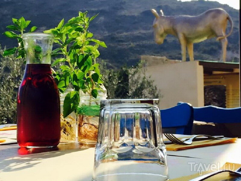 Вино к ужину | goldendonkeys.com