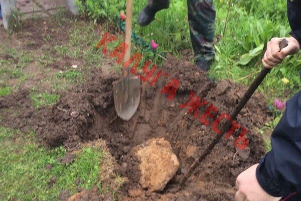 Фото "Калуга Жесть"