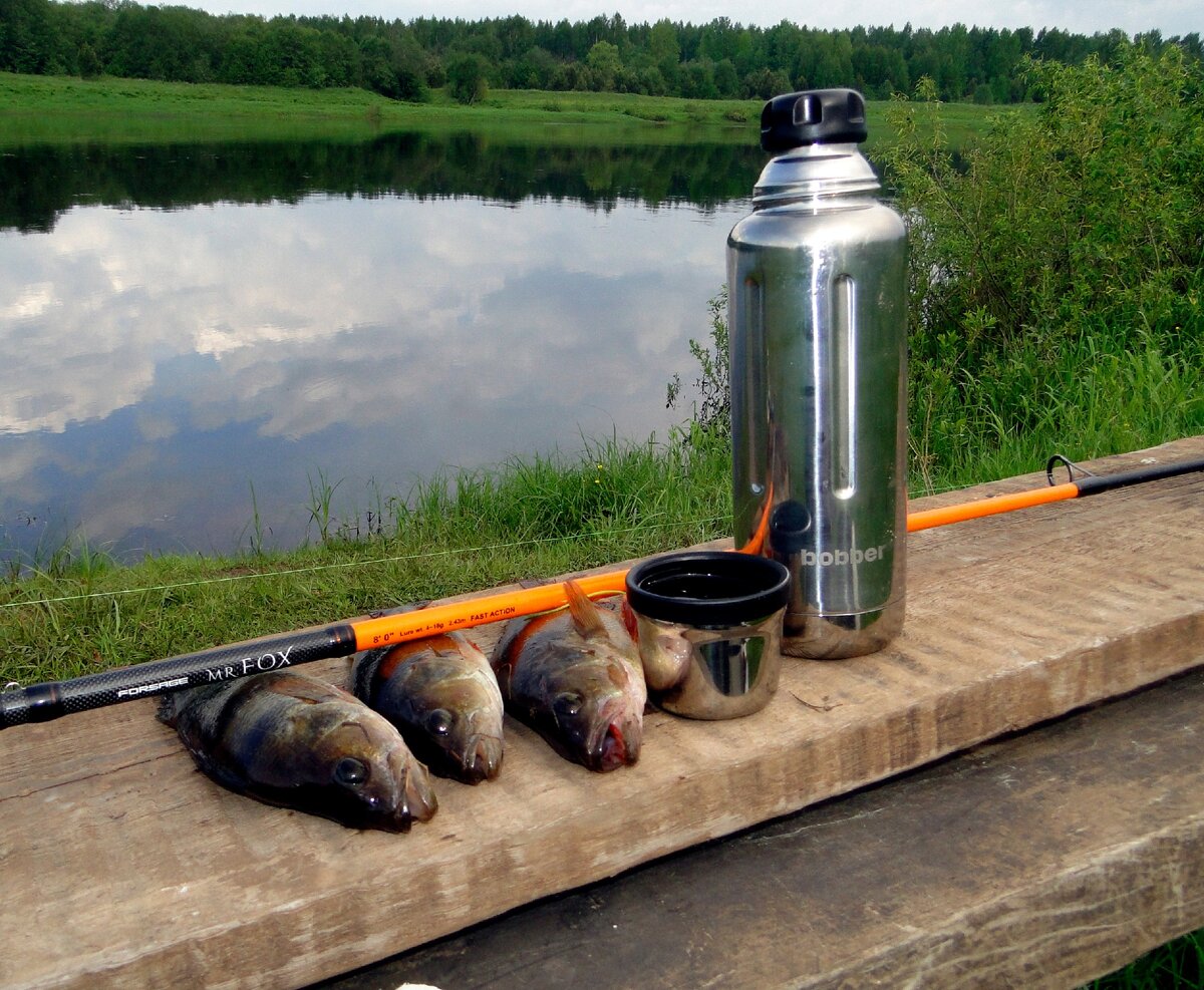 Небольшой термос bobber, обемом 0,47 л. бодрил меня по утрам )))