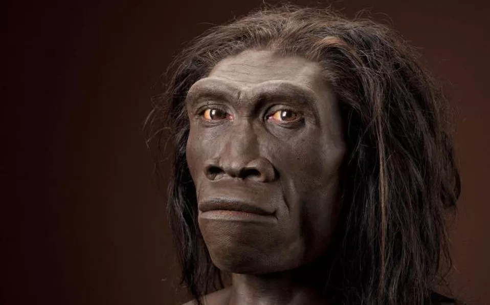 Смотрит на нас с гордостью (Homo erectus)