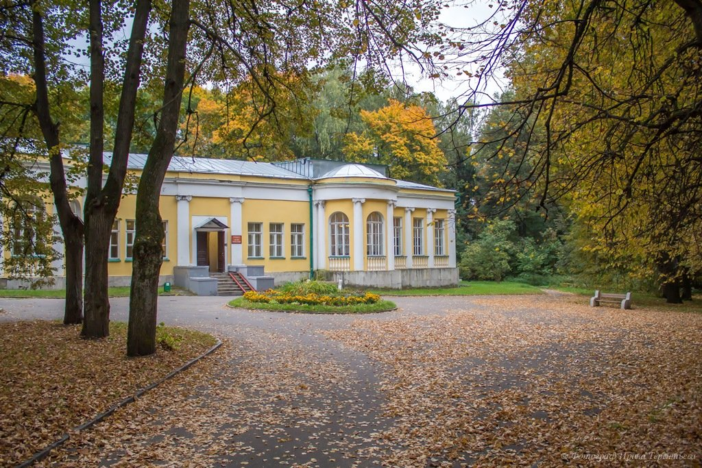 Усадьба горки ленинские фото. Горки Ленинские музей-заповедник. Усадьба горки Ленинские парк. Горки Ленинские усадьба внутри. Усадьба горки Ленинские Яблоневый сад.