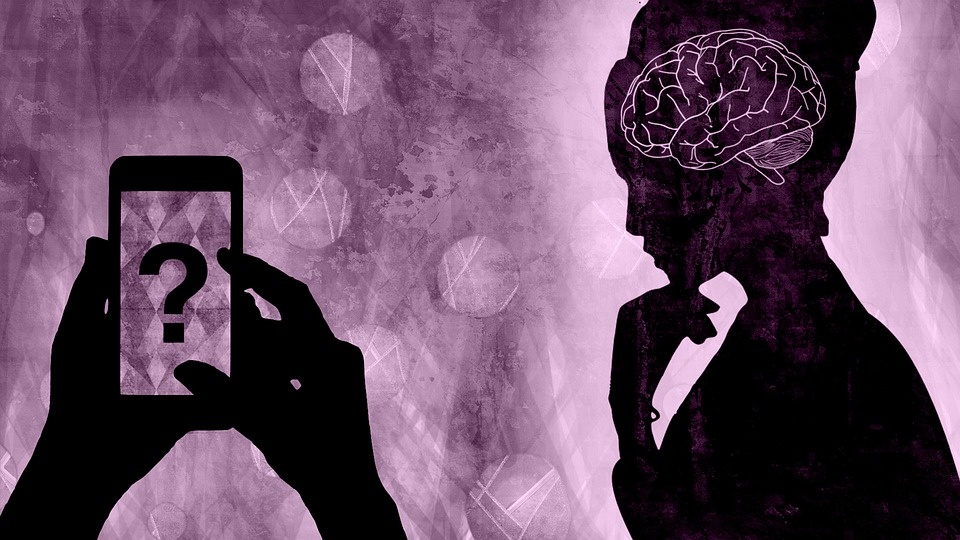 Изображение взято с сайта https://pixabay.com