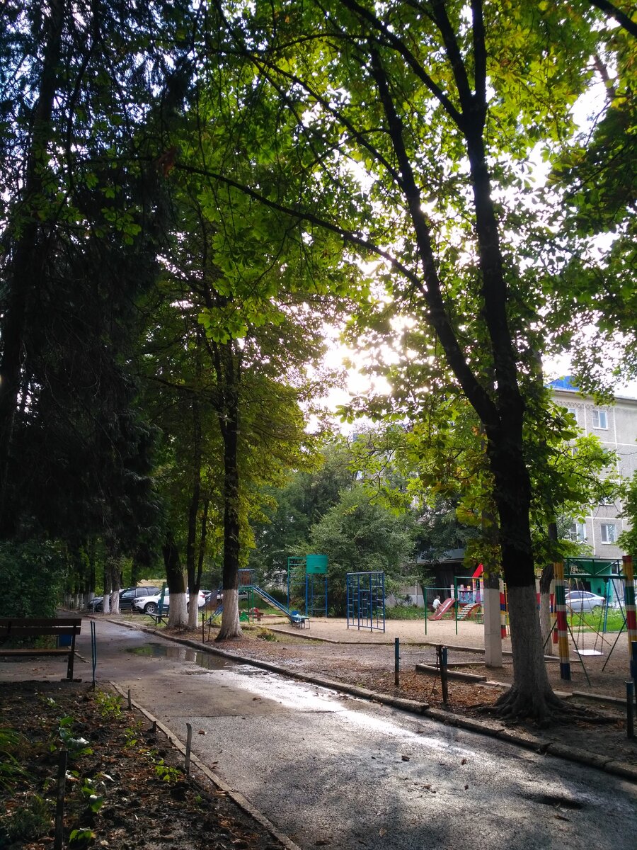 Любимый двор, улица Селезнёва