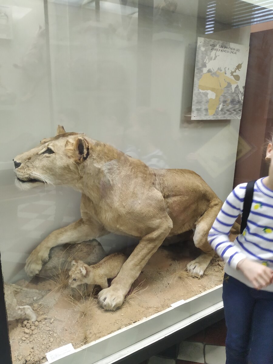 Ну правда, будто живые!