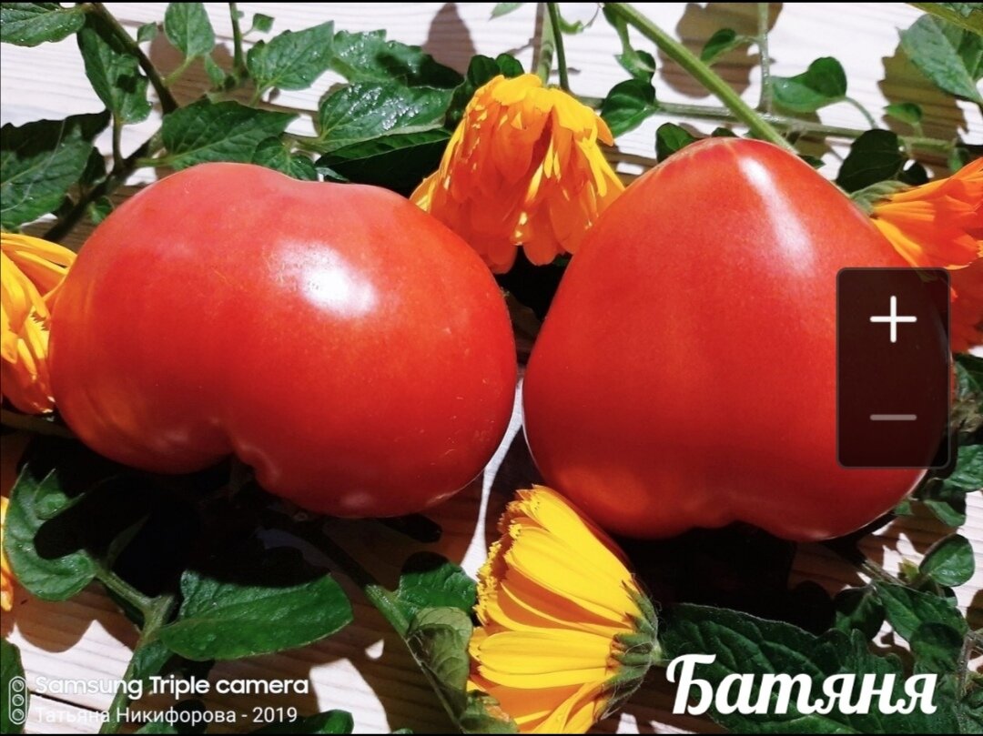 Фото Татьяны Никифоровой. 