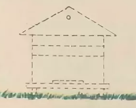 На пасеке стоит один улей, который надо поделить на пол-лёта