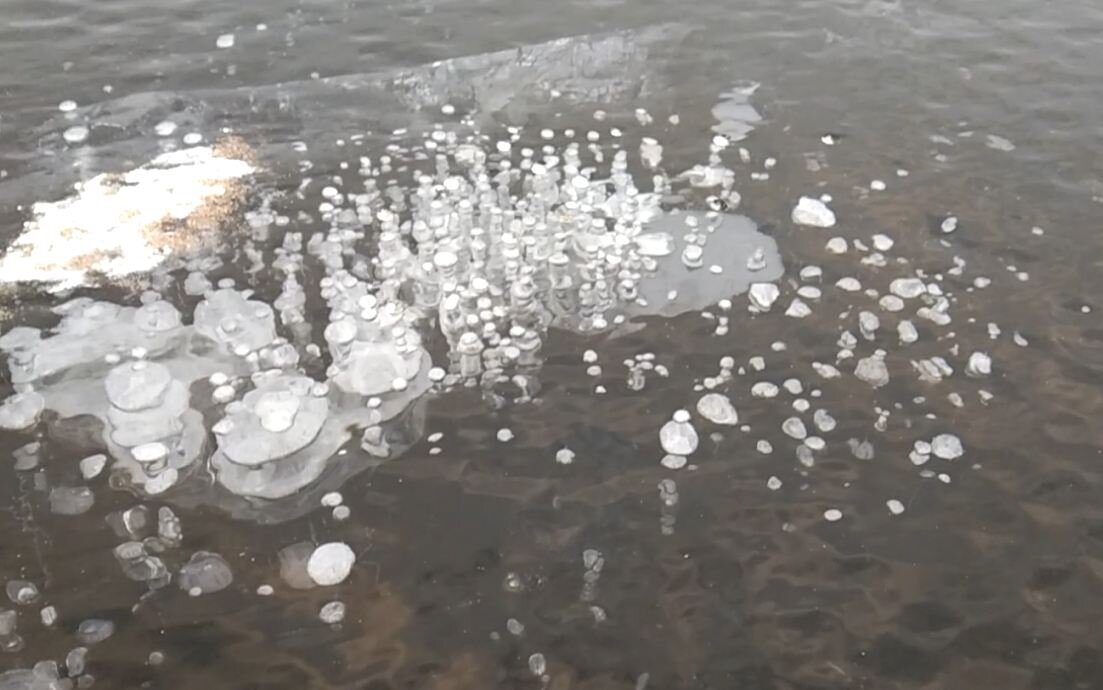 Пузырьки воздуха вмёрзшие в лёд.