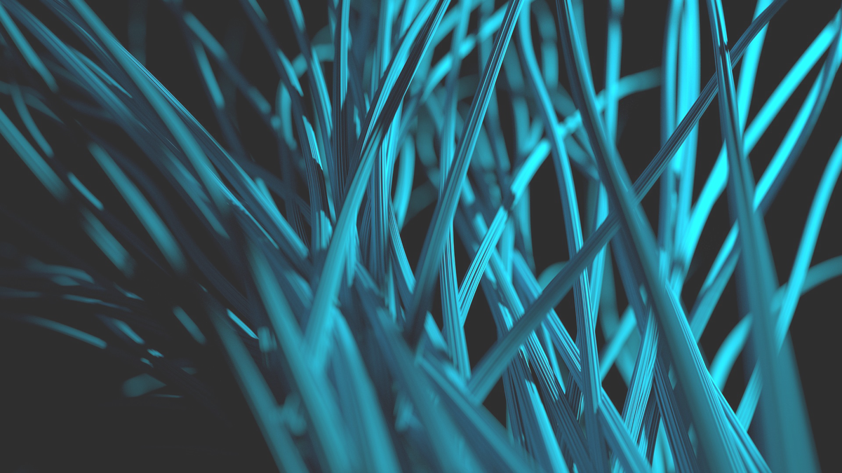 Все нервные летки и нейронные сети переплетаются между собой и накапливают энергию, способную изменить вашу жизнь