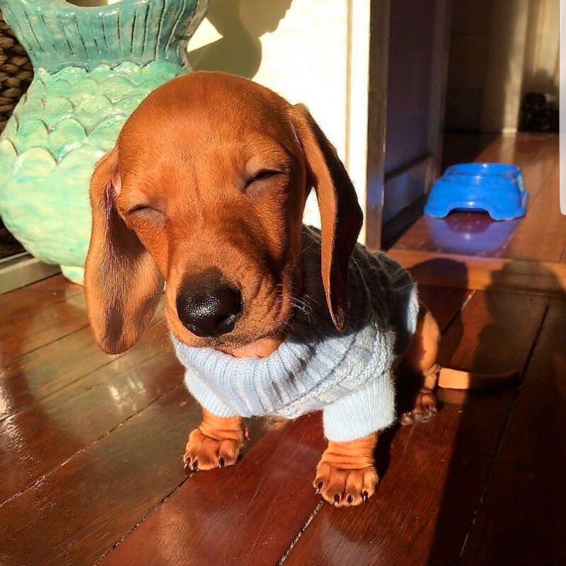 Фото использовано в качестве иллюстрации к истории