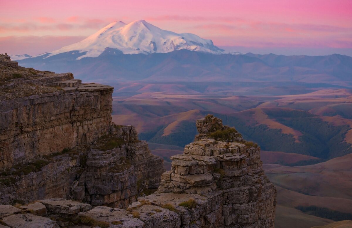 Фото: shutterstock.com