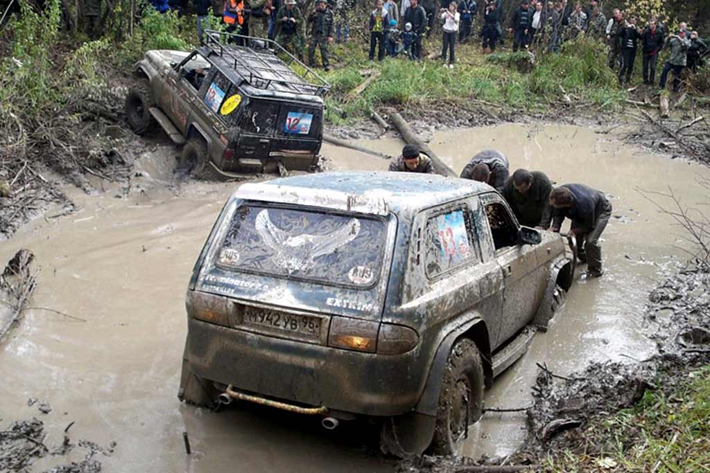 Фонари от ГАЗ 3110