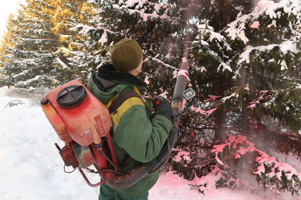 Фото: Ростислав Нетисов, nsknews.info