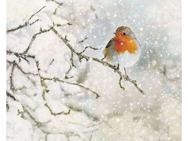 Чтобы Уважали будь всегда строинои и при деньгах