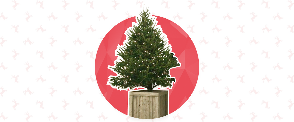 С наступающим новым годом!