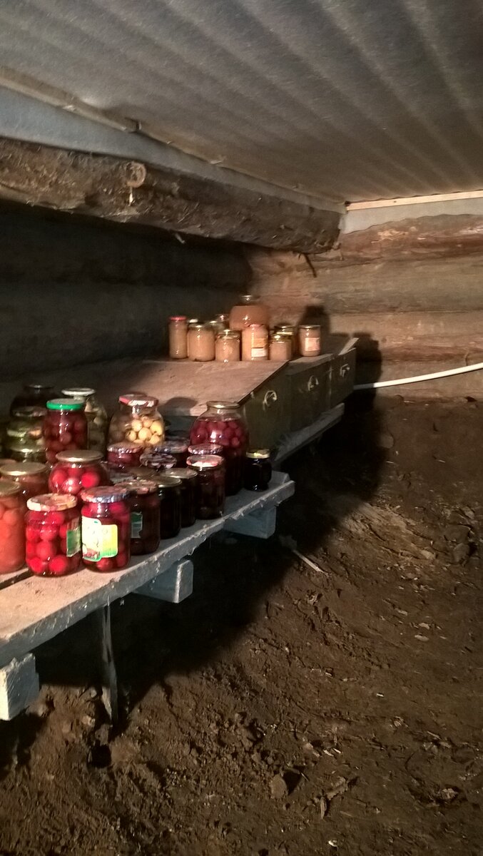 Подпол в нашем старом доме